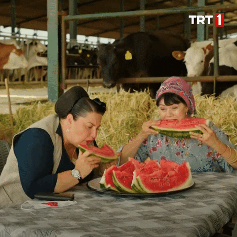 Watermelon Eating GIFs - Get the best GIF on GIPHY