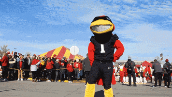 Cy GIF by Iowa State University Office of Admissions