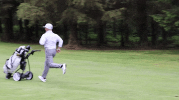Scotland GIF