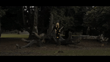 Sunflower Honeybee GIF by The Head And The Heart
