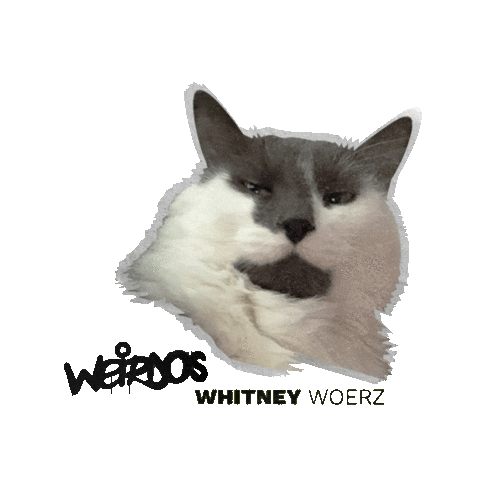 Whitney Woerz Sticker