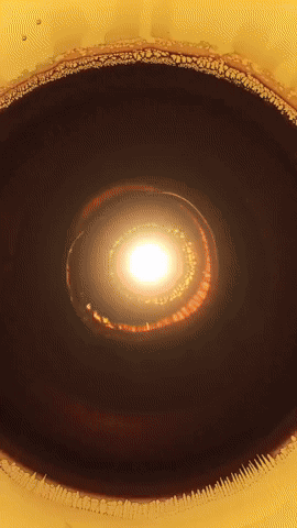 Star GIF