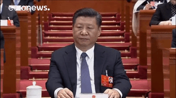 china GIF by euronews