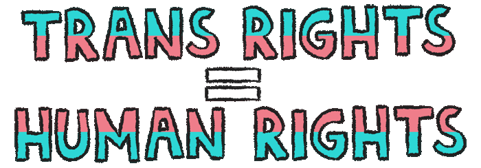 Resultado de imagen para trans rights gif
