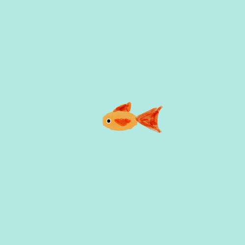 Goldfish GIF