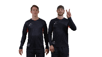 Teamnl Beachvolleybal Sticker by Nevobo