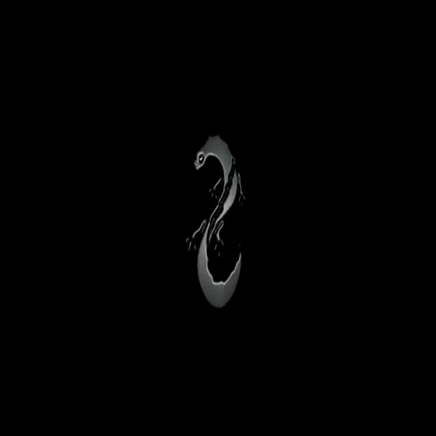 Tritoni Verticali GIF