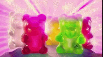 bears gummy GIF