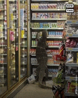 Godzilla Struggling GIF by NowThis