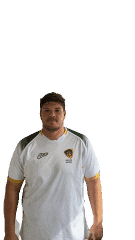 Rugby Xv Sticker by Brasil Rugby