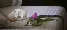 happy birthday GIF by Cheezburger