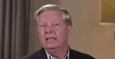 Lindsey Graham Midterms GIF by GIPHY News