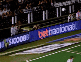 Ze Rafael Santos GIF by Rick DSGNR