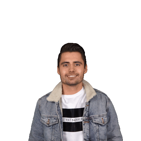 DJ  Dennis Beso Sticker