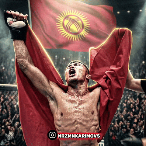 Ufc Kazakhstan GIF by Customize iT