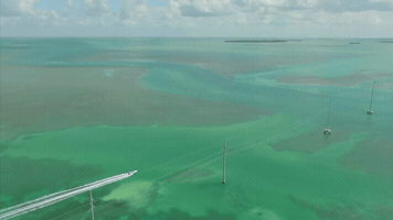TEAMKAUFELT GIF