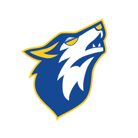 SaintAmandHandball Sticker