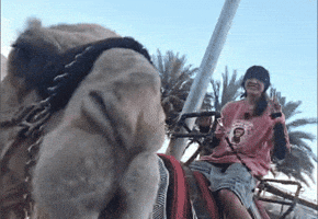 Streamer GIF