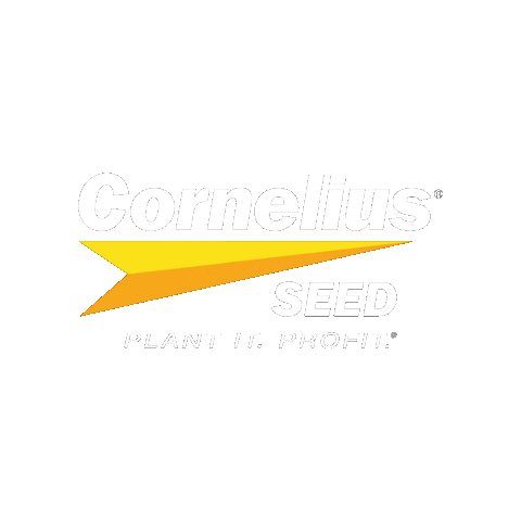 marketing_cornelius Sticker