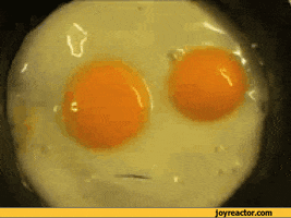 eggs come GIF
