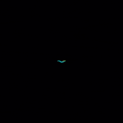 Chesapeake Bay Program GIF