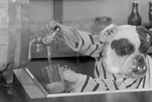 black and white drinking GIF