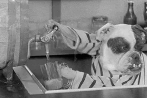 black and white drinking GIF