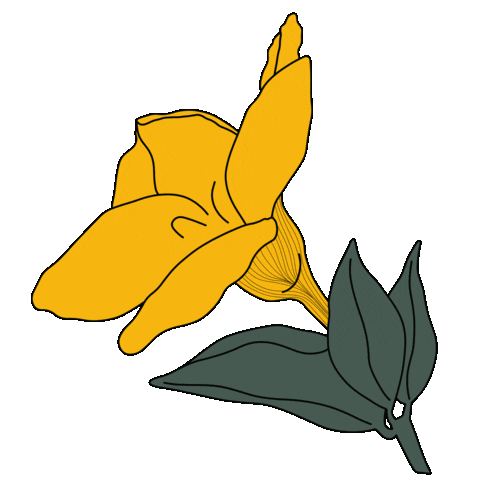 Flower Sticker
