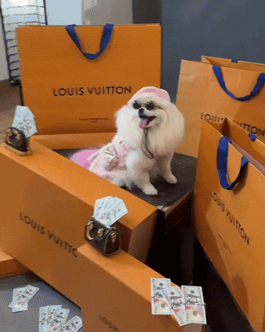 Funny Dog GIF