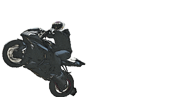 Icon Wheelie Sticker by IconMotosports