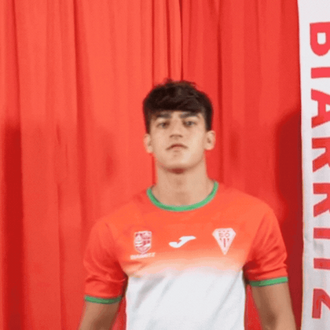 Rugby Prod2 GIF by Biarritz Olympique Pays Basque