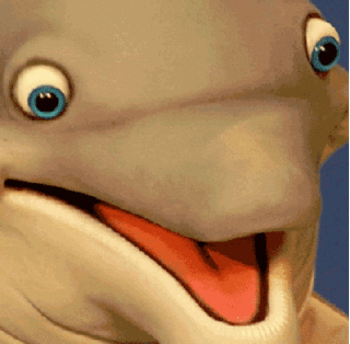 excited dolphin GIF