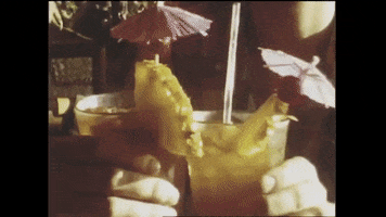 Jeff The Brotherhood Drink GIF by Infinity Cat Recordings