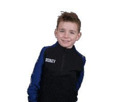 Z.V.V. Pelikaan Sticker