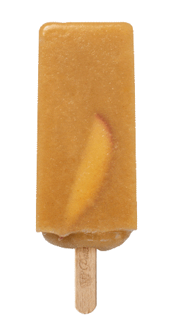 Summer Ice Sticker by Paleta Loca