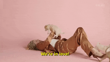 In Love Dog GIF by BuzzFeed