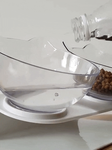 Buy Anti-Vomiting Cat Feeding Glass Bowls in Australia - TRP – The Relaxing Pets