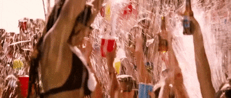 partying spring break GIF