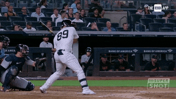 Home Run Celebration GIF by YES Network