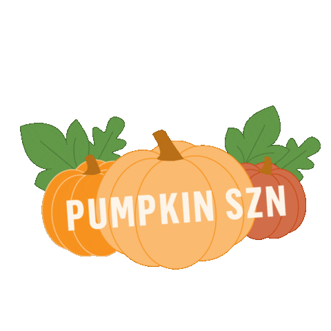 Fall Autumn Sticker by Williams Sonoma