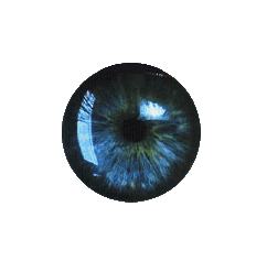 eye transparency STICKER