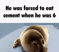 Seal Eat GIF