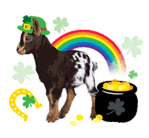 St Patricks Day Rainbow Sticker by Schoolgirl Style Classroom Decor