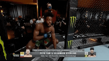 Aljamain Sterling Sport GIF by UFC