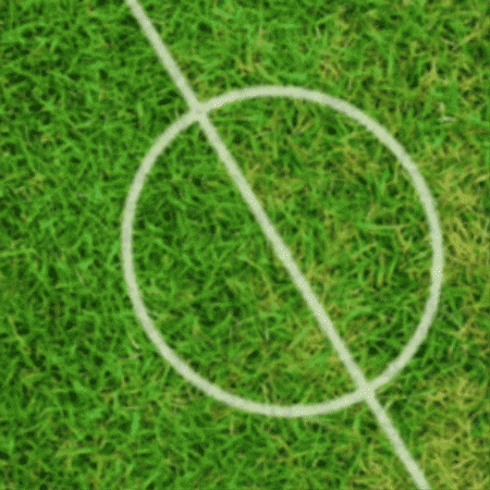World Cup Goal GIF by TeaCosyFolk