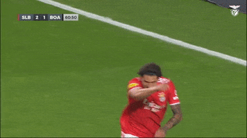 Pointing At You Sl Benfica GIF by Sport Lisboa e Benfica
