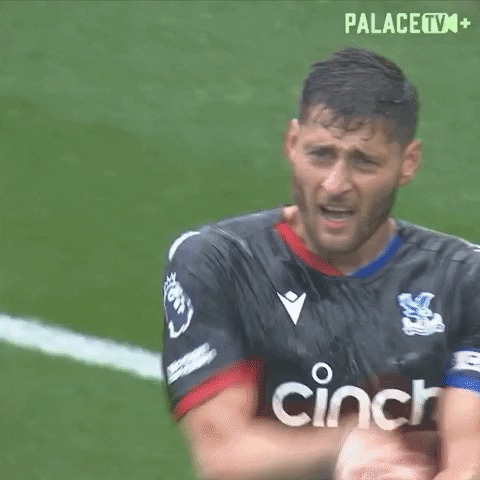 Collide Premier League GIF by Crystal Palace Football Club