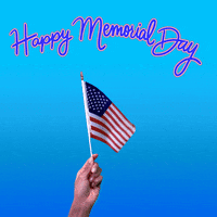 Celebrate American GIF by Hello All