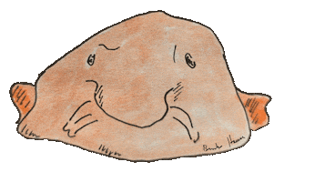 Blobfish Sticker