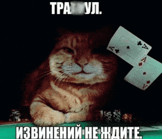 Извинений Не Ждите GIF